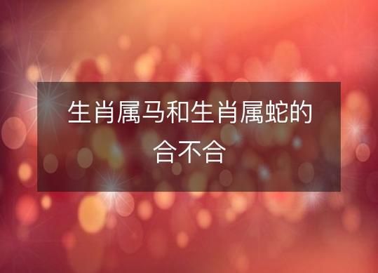 生肖马属相合不合（生肖马与什么属相最合最不合）