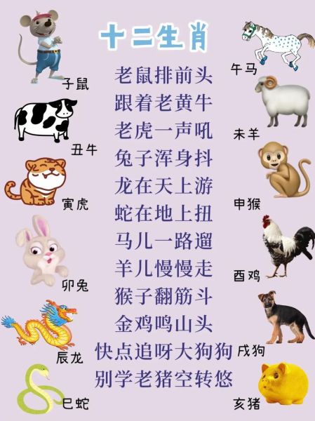 属相的各种生肖(十二生肖顺序口诀是什么)