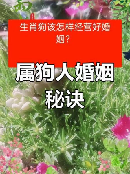生肖属相配偶（男鸡女狗婚姻能维持吗？）
