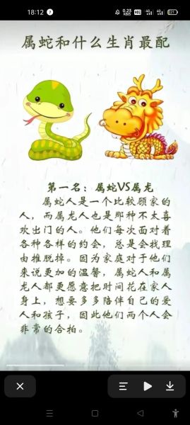 生肖蛇最佳选择生肖属相（生肖蛇配什么最好）