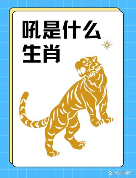 生肖寅属相什么（生肖寅到底属什么）