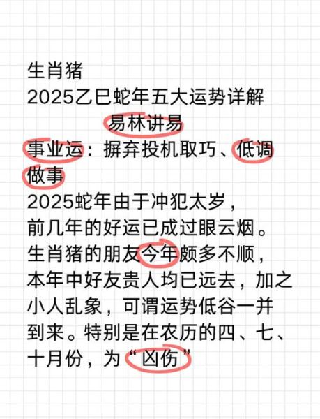 属相派对生肖猪（生肖猪2025运势解析✨本命年犯太岁吗？）