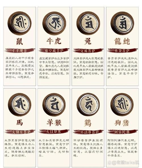 生肖属相大佛像（生肖属相大佛像寓意与摆放指南📿）