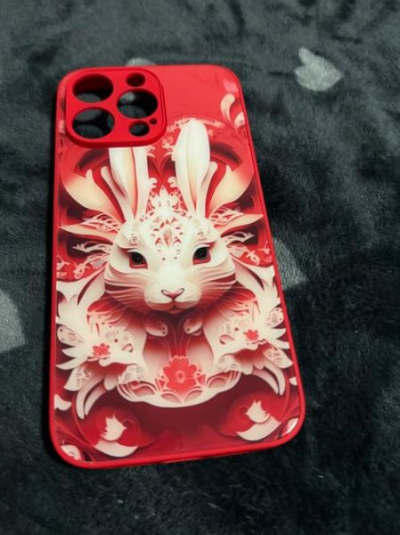 生肖属相保护壳（生肖手机壳选哪个属性最旺我？）