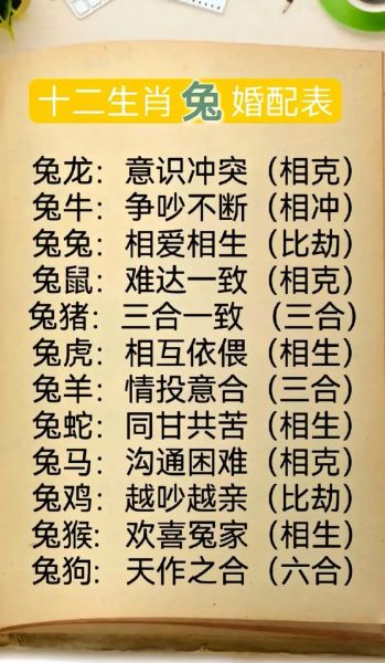 不同生肖的属相（属兔的属相到底是哪几年）