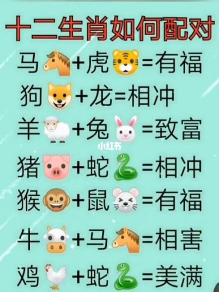 生肖属相马配对表（生肖属相马配对最佳生肖完整版）