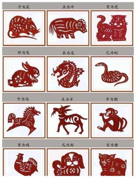 树功属相是什么生肖