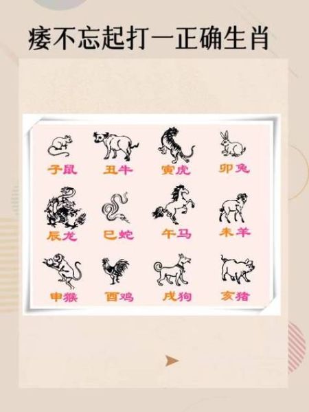 生肖属相排序表图解（生肖属相排序表图解🐲）
