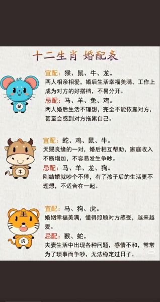 生肖什么属相最好