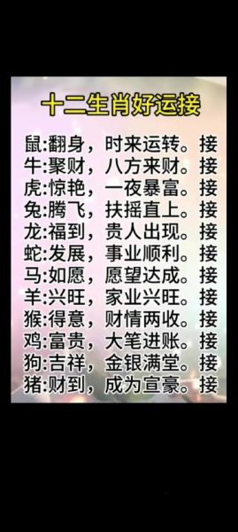 十二生肖属相接龙（十二生肖接龙规则是什么）