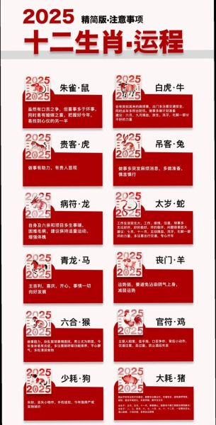 谈生肖属相（新手必看：2025生肖运势完整指南）