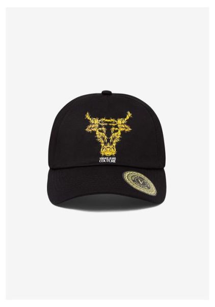 范思哲属什么生肖属相