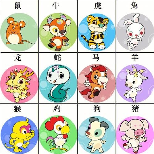 生肖属相模型图（生肖属相模型图怎么做👀）
