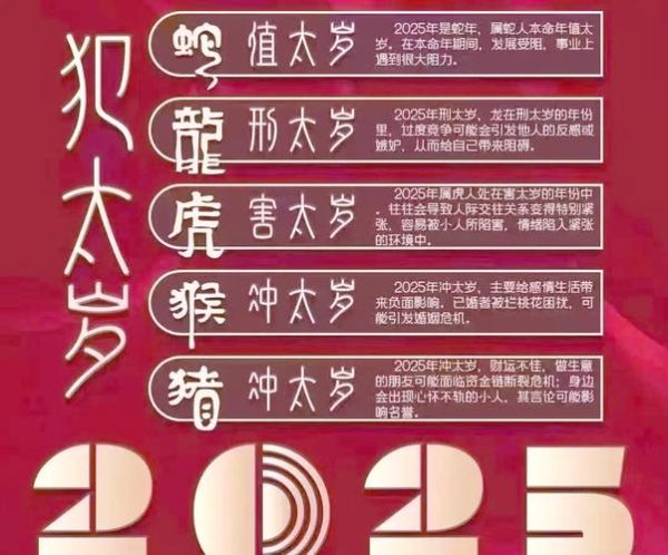 生肖属相运势详解（2025年生肖属相运势详解完整指南）