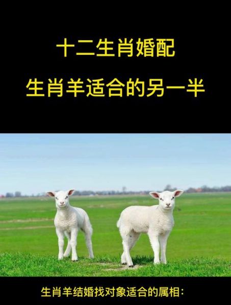 生肖羊属相婚姻配对（生肖羊的最佳婚配属相是谁？）