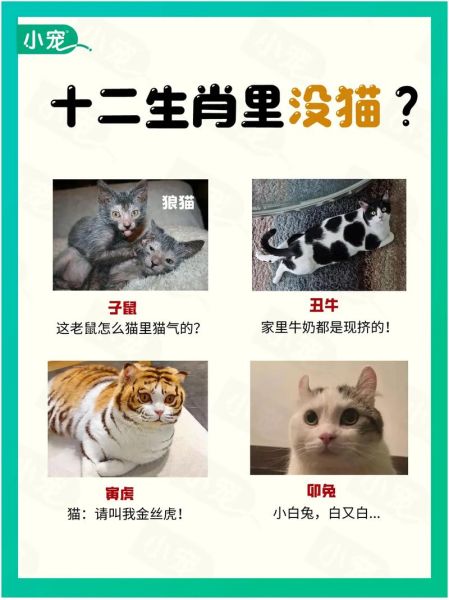 猫和小花的生肖属相（猫和小花属什么生肖？）