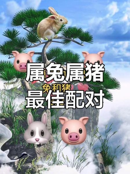 兔子配对生肖属相(属兔和什么生肖最配婚姻)