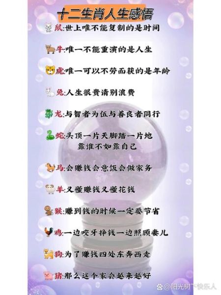 生肖感悟属相的句子（十二生肖一句话解读人生感悟）