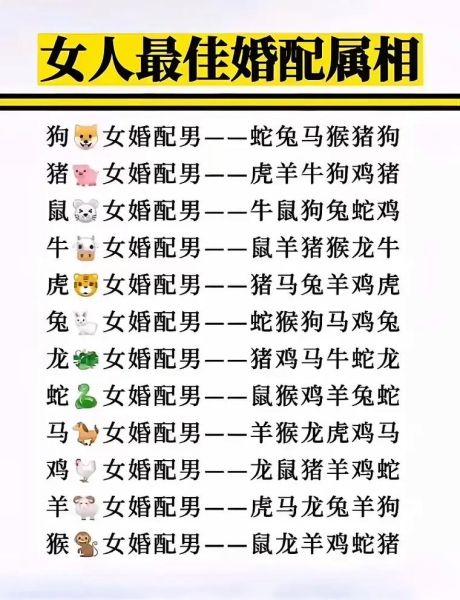 十二生肖女属相婚配（十二生肖女属相婚配表：新手一看就懂💍）