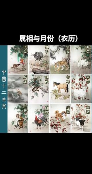 月份属相生肖配对(月份属相怎么查?小白秒懂版💡)