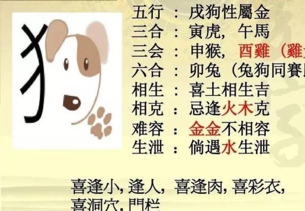 生肖属相匹配度(鸡与狗属相真的不合吗)