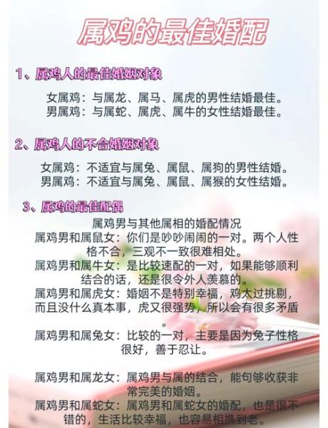 生肖鸡与何属相配（生肖鸡最配什么属相？婚姻速配指南）