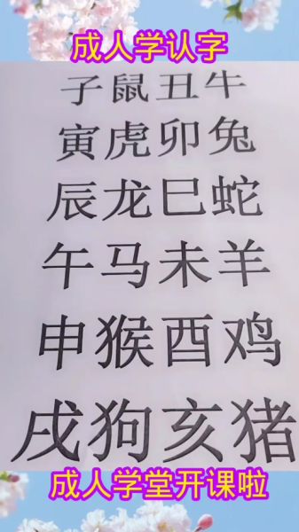 生肖属相怎么念拼音(生肖属相拼音怎么读最标准)