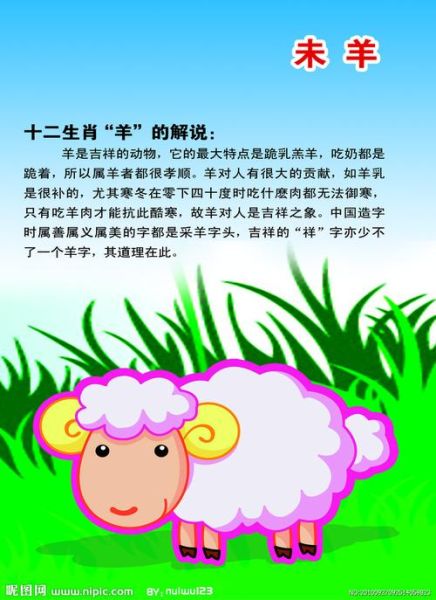 生肖羊白头的属相(生肖羊白头代表什麼屬相?🐑✨)