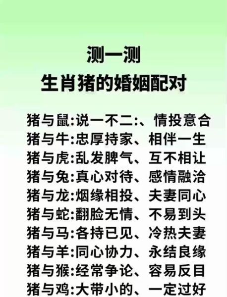 生肖猪婚配什么属相好（生肖猪婚配最佳属相）