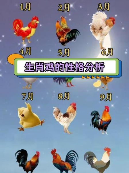 生肖属相鸡（属鸡的人今年多大了对照表）