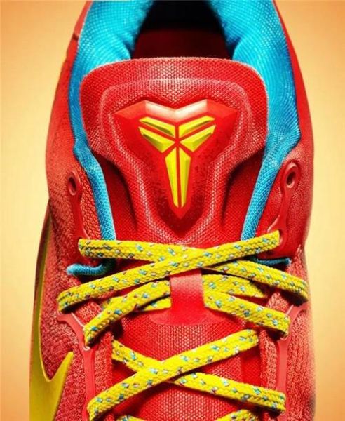 科比的生肖属相(科比属什么生肖答案在这)