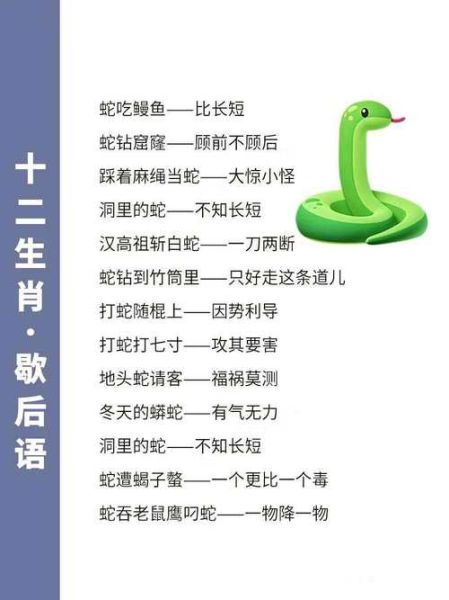 公子歇属什么生肖属相（公子歇属什么生肖？）