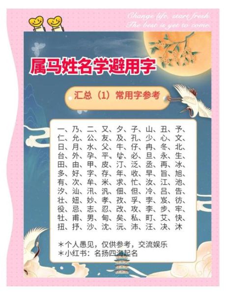 属相马忌讳什么生肖女孩（属马的忌什么生肖女孩？避坑指南来啦！）