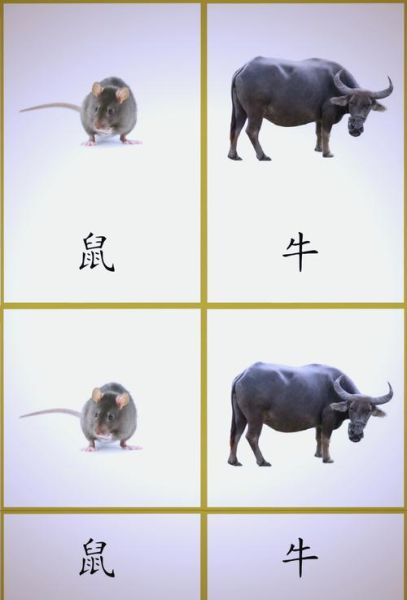 生肖卡如何切换属相（生肖卡怎么切换属相）