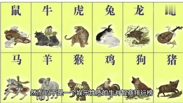 晨属相是什么生肖