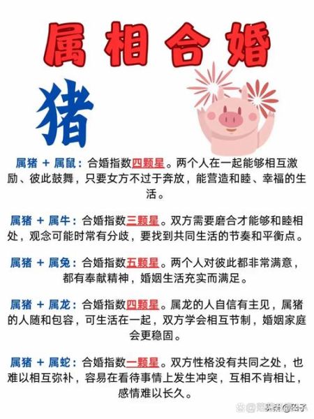 猪闺蜜是什么生肖和属相(猪闺蜜属相揭秘:到底属什么生肖呢?)