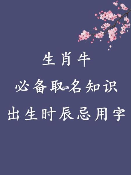 生肖牛与哪些属相合（生肖牛最佳属相配对详解）