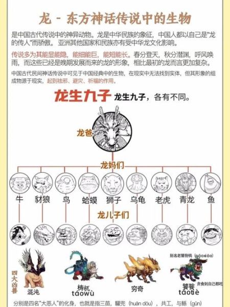 地位高的生肖属相（十二生肖谁地位最高？看完秒懂🐲）