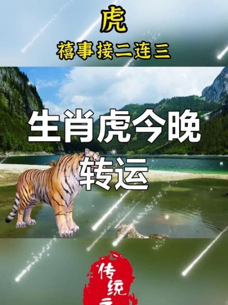 老虎后面属相是什么生肖（老虎后面属相是什么）