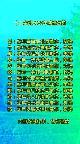 生肖属相榜（2025年各生肖运势排行榜完整版）