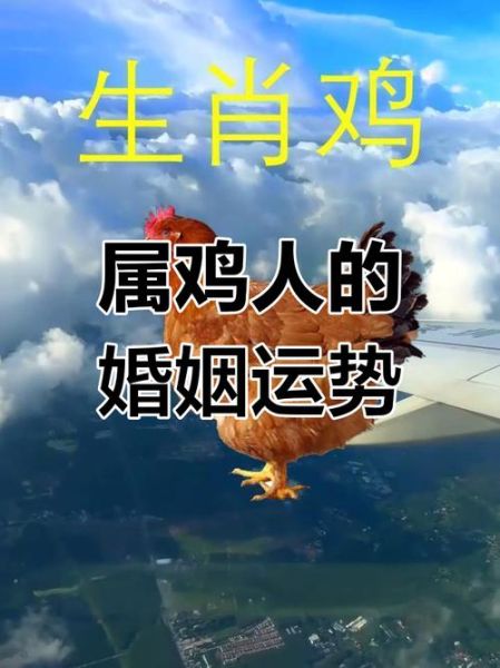 哪些生肖配什么属相最好（属鸡的和什么属相最合适结婚）