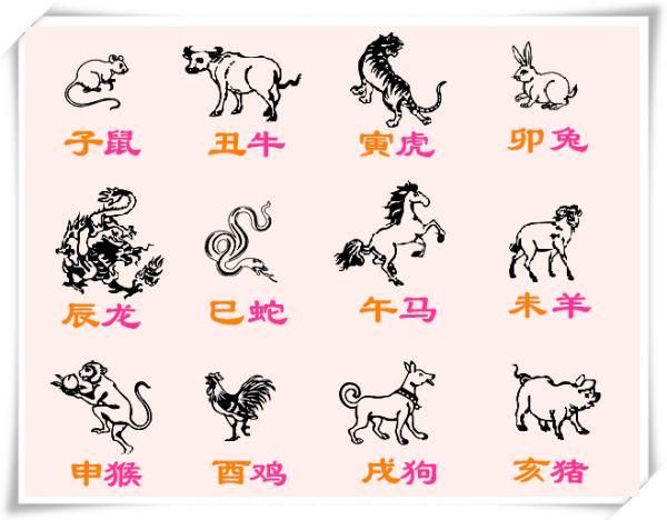 生肖属相按（生肖属相按立春还是初一）