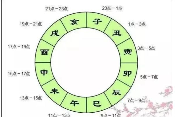 巳时是什么生肖属相时（巳时是哪个生肖时辰？新手秒懂版）