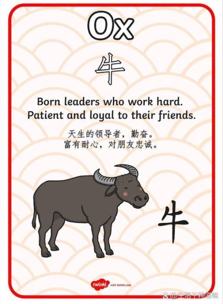 生肖卡选什么属相(生肖卡选什么属相最旺新手)