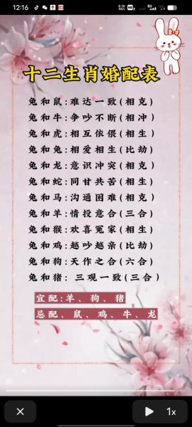 生肖属相兔与虎（兔子跟老虎合不合财运呢？）