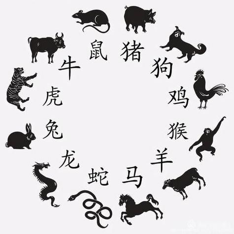 猴子跟牛生肖属相（🐵💘🐂猴子跟牛配不配？生肖配对全攻略）