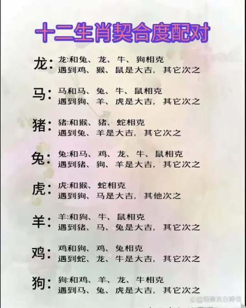 生肖属相相配对表(2025年属相配对表最完整版)