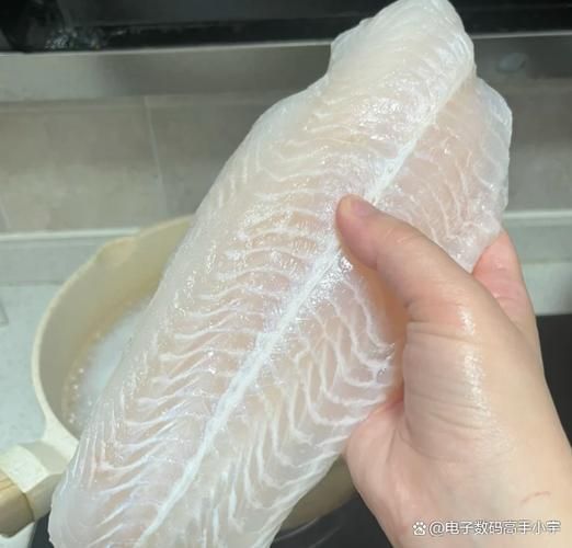 沙鱼最佳生肖属相（沙鱼最佳生肖属相是什么）