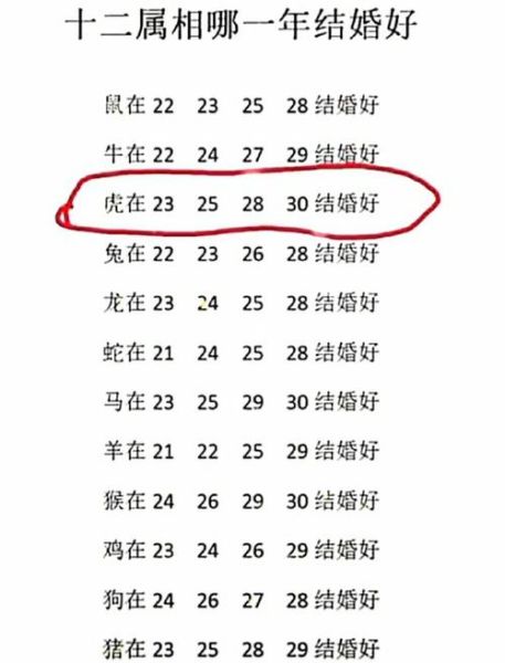 虎马什么生肖属相（虎马属相合不合？小白秒懂配对表）