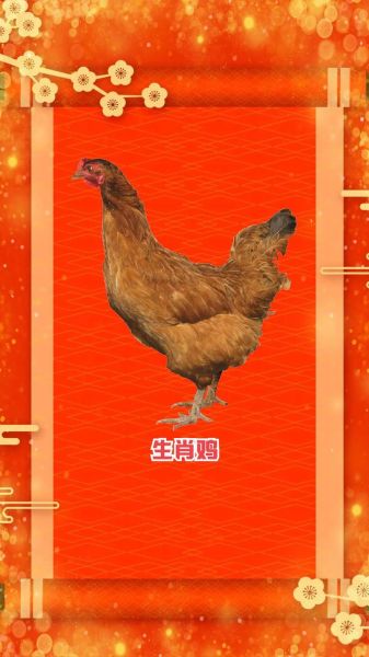 生肖鸡和属相鸡（生肖鸡和属相鸡的区别及常见疑问🔍）